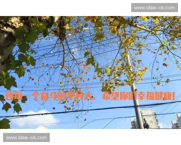 低调直播背后的秘密与挑战 如何在平凡中创造不平凡的直播内容